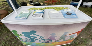 Erzsébetvárosi Felsővárosi Nap - Pápa